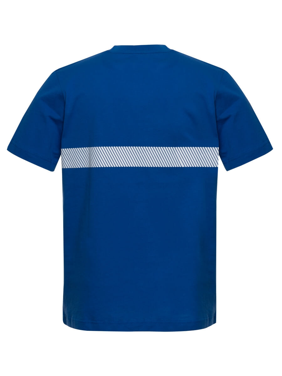 Herren T-Shirt Kornblau, Rückansicht mit grauem Streifenband, Kurzarm