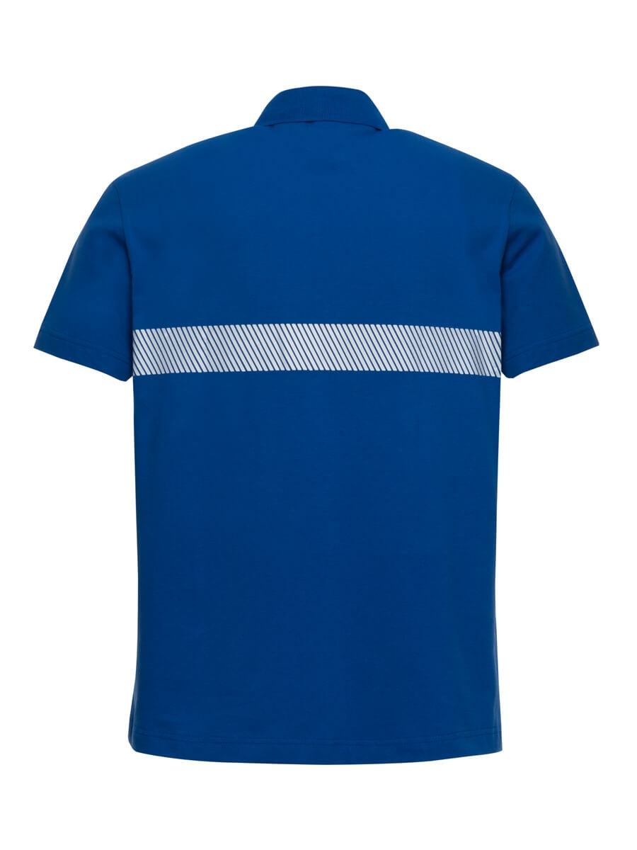 Herren-Poloshirt in Kornblau mit gestreiftem Mittelstreifen, Rückenansicht