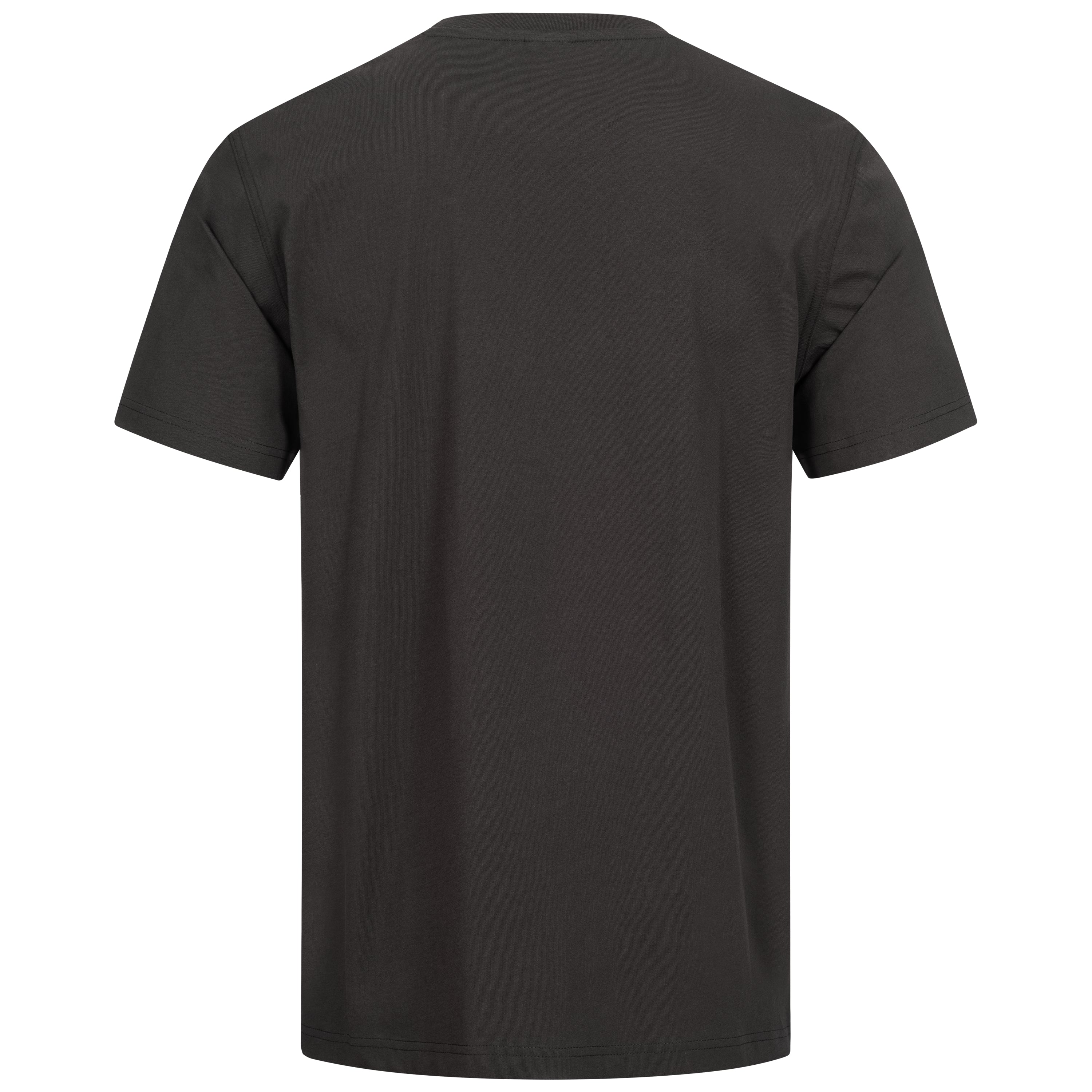 Schwarzes Herren-T-Shirt mit Rundhalsausschnitt, kurzarm, Rückansicht
